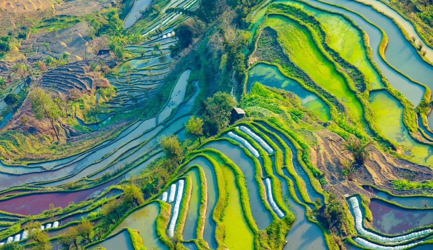 极致互动周年庆宣传片制作：铭刻荣耀，共启新程